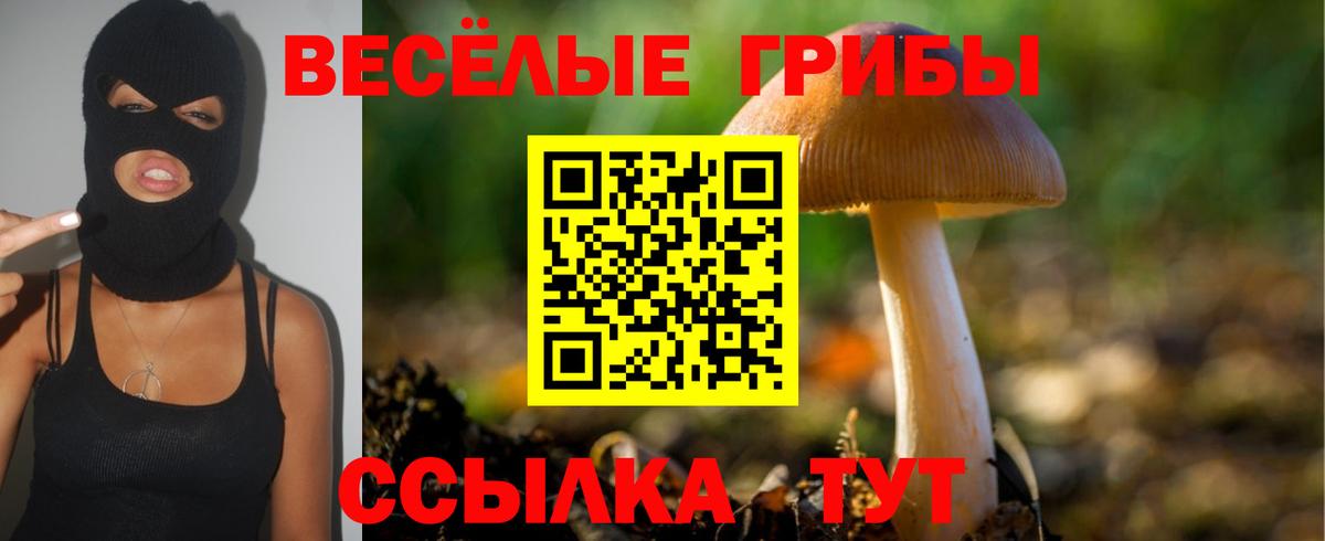Галлюциногенные грибы Cubensis  Галлюциногенные грибы MAGIC MUSHROOMS  Артём  Вход с VPN 